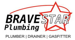Brave-star-logo